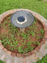 Sanjana S. Jagdale review photo