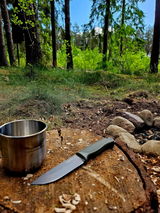 forest_life review photo