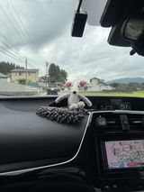 愛 豊島 review photo