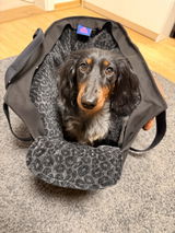 Joana review photo