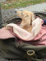 Gisela review photo