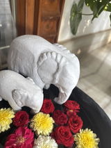 Elephant statue is not clear no eye and finish is bad review photo
