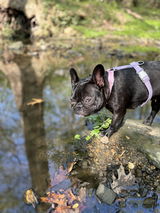 Kristen J. review photo