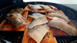 Onur Ilhan review photo