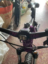 Lewiz review photo