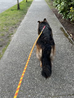 Review picture