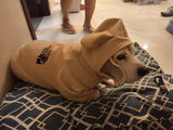 Anonymous review photo
