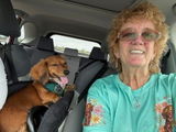 Patricia L. review photo