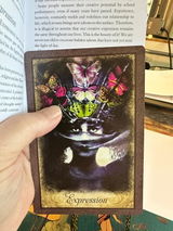 Angelita review photo