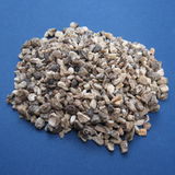 Kasey review photo
