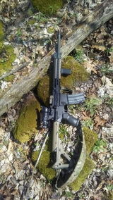 David patterson review photo
