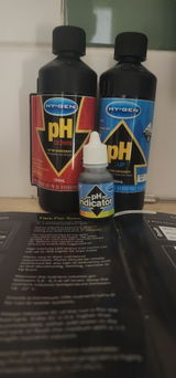 Shannon G. review photo
