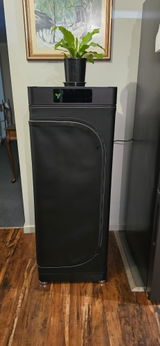 Padder2022 review photo
