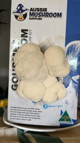 Allan S. review photo