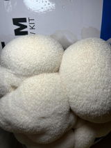 Allan S. review photo