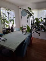 TT review photo
