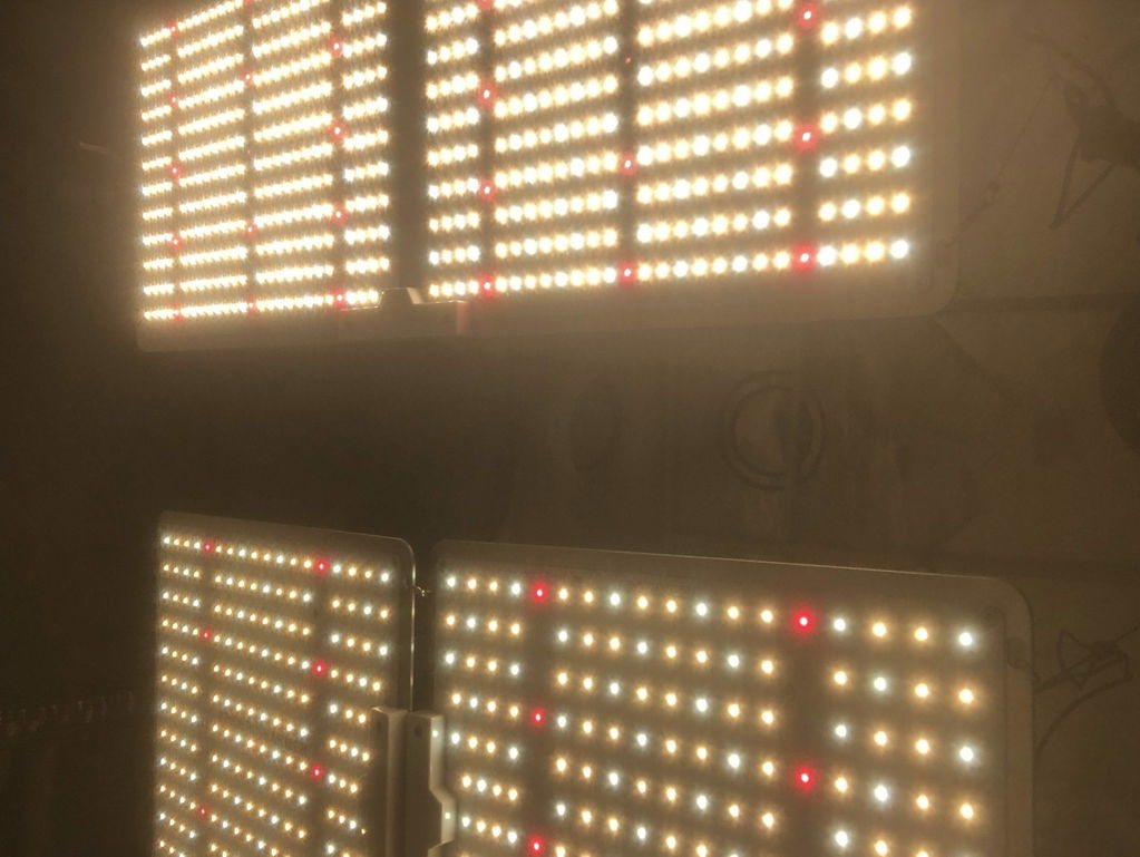 Spider Farmer SF1000 100W Dimmable Full Spectrum LED Grow Light