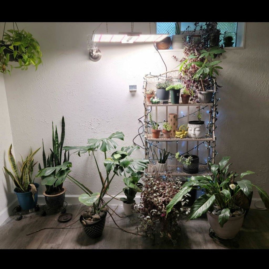 Spider Farmer SF2000 200W Dimmable Full Spectrum LED Grow Light