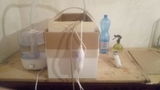 Leonardo Valentini review photo