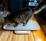 tevu review photo
