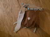 Iowa Buckeye review photo