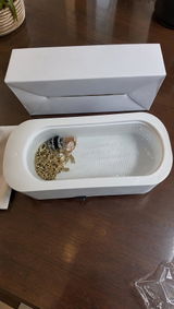 けーすけ review photo