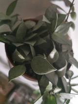 AGATA P. review photo