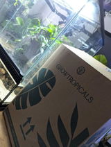 Geoponika review photo