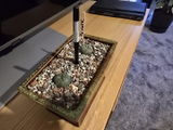 Tim K. review photo