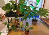 Jagruti R. review photo