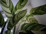 Edyta M. review photo
