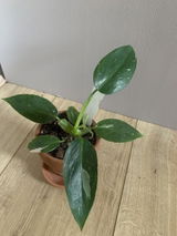 Agnieszka D. review photo