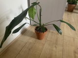 Agnieszka D. review photo