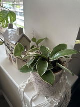 Gabriela L. review photo