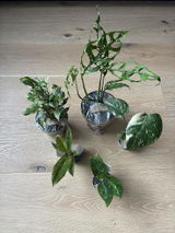Pelin G. review photo