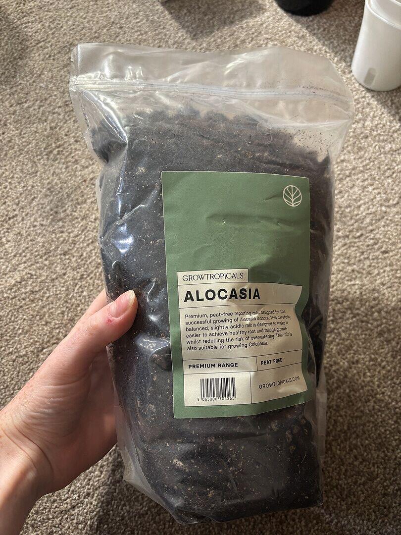 Alocasia Premium Potting Mix | Grow Tropicals