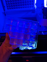j_who250 review photo