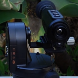 William Scott review photo