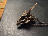 ron c. review photo