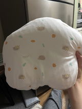 Gantsetseg review photo
