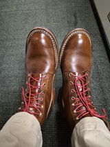 David N. review photo