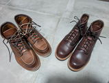 Aaron review photo