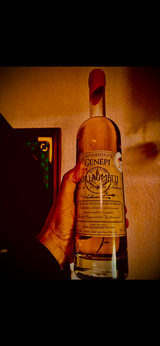 Xavier Angio review photo