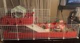 Jessica Auld review photo