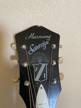 Mark Schwarzburg review photo
