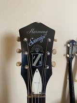 Mark Schwarzburg review photo