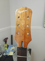 Dan W review photo