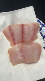 Kitty Mitchell Grouper