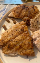 Yellowedge Grouper