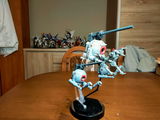 S.S. review photo